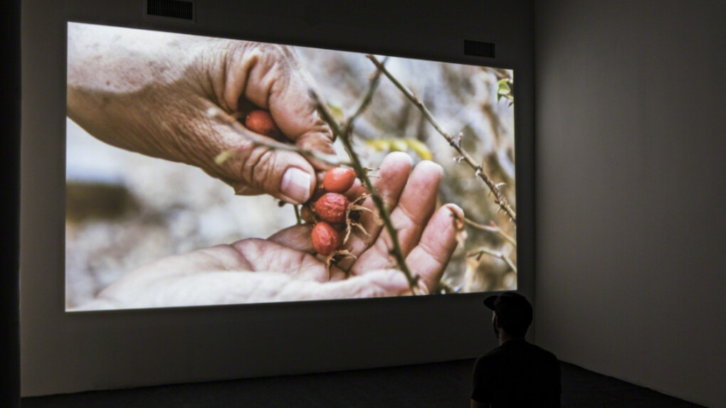 Cecilia Vicuña. Courtesy of ICA Philadelphia