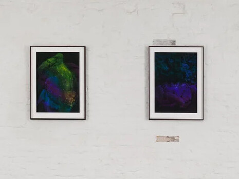 Renée Pevernagie, Shadow work, exhibition view. Courtesy of Verduyn Gallery