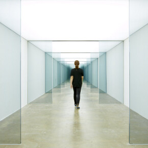 Carsten Höller. Courtesy of Museo Tamayo