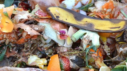 Food Waste