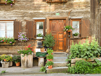 Plantes et nature. Ces dernières années, les plantes sont devenues tendance dans nos intérieurs et dans nos jardins