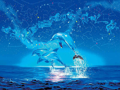 Delfini
