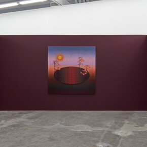 Nicolas Grenier. Eyes Adjusting Slowly, installation view. Courtesy of Luis De Jesus Los Angeles