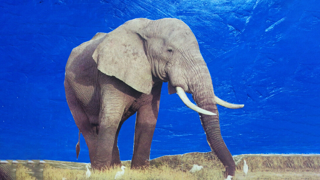 Terry May, The elephant, particolare