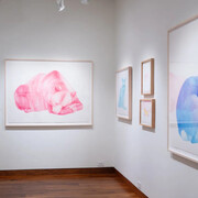 Steve Snell, exhibition view. Courtesy of Momentum Gallery
