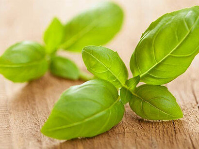 Profumatissimo basilico