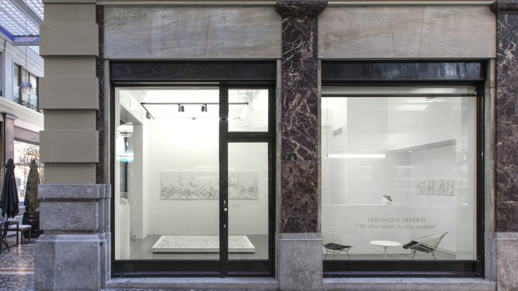 Ou elles volent, ou elles tombent. Courtesy of Buchmann Galerie