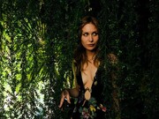 Its a Jungle Out Here. Courtesy of ABXY