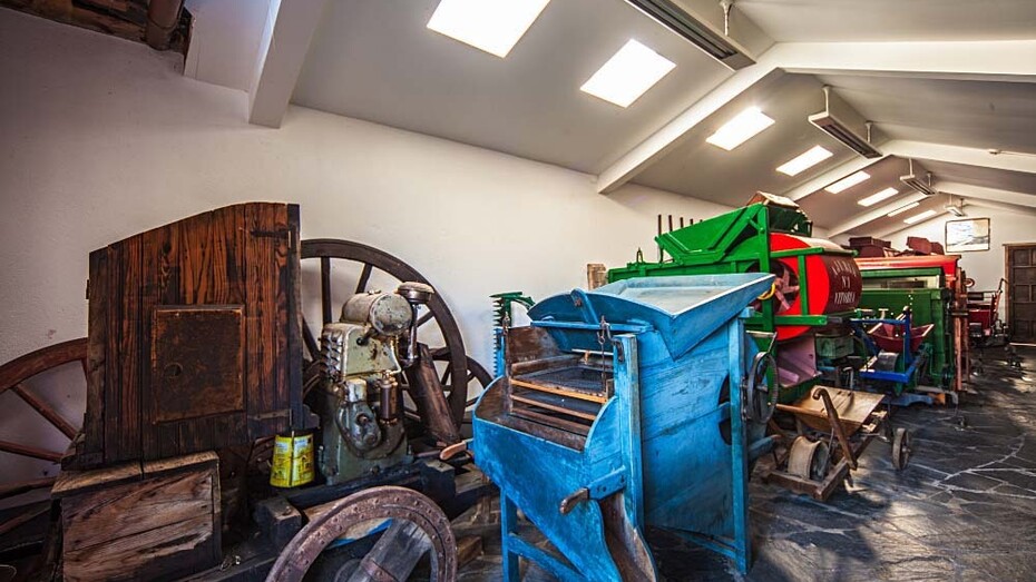 Aperos de labranza. Courtesy of Museo Etnográfico