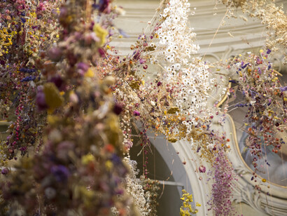 Rebecca Louise Law, Florilegium, Parma Capitale della Cultura 2020