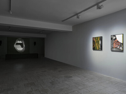 Various artists, Not I, exhibition view. Courtesy of Capitain Petzel