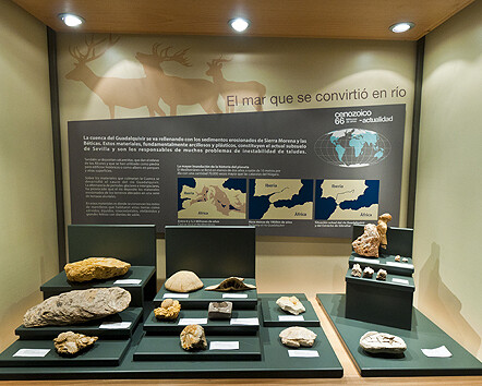 GeoSeville, Exhibition view. Courtesy of Casa de la Ciencia 
