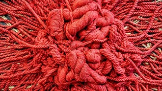 La exposición "Enraizada" de Alessandra Sequeira en Costa Rica utiliza instalaciones y cuadros textiles tridimensionales para crear una experiencia inmersiva