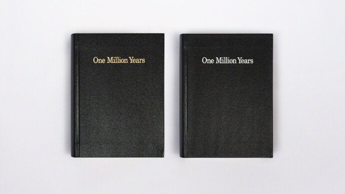 One Million Years. Courtesy of MFC - Michèle Didier