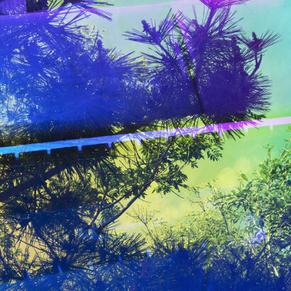 Pride. Courtesy of Postmasters Gallery