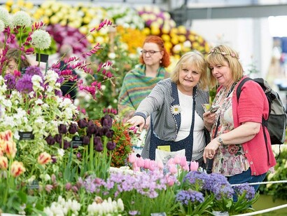 El Chelsea Flower Show sintetiza el exquisito trato que los jardineros ingleses han dado históricamente a las flores