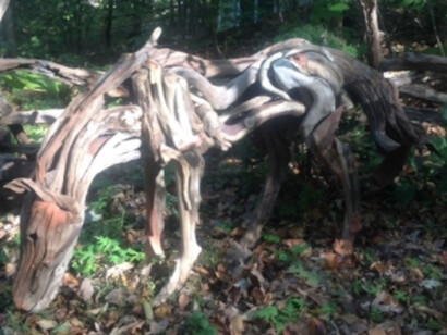 Into the Woods. Courtesy of Zenith Gallery