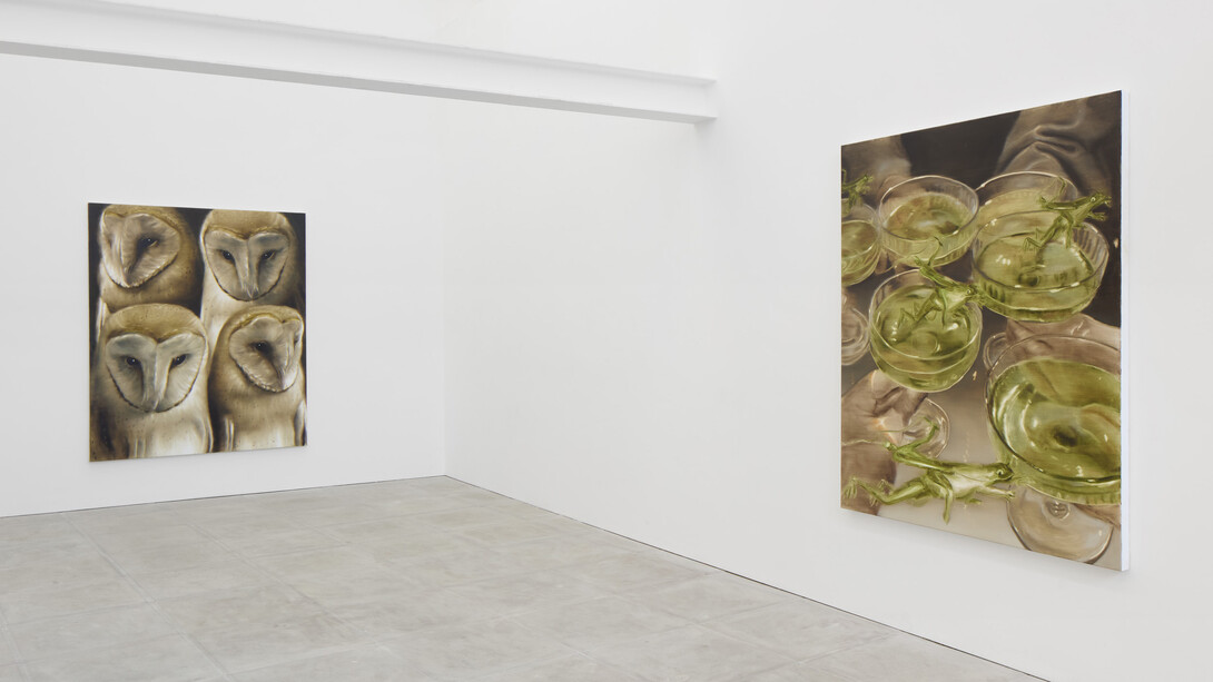 Tomas Harker, Sherwood forest, exhibition view. Courtesy of the artist and The Sunday Painter. Photo by Ollie Hammick