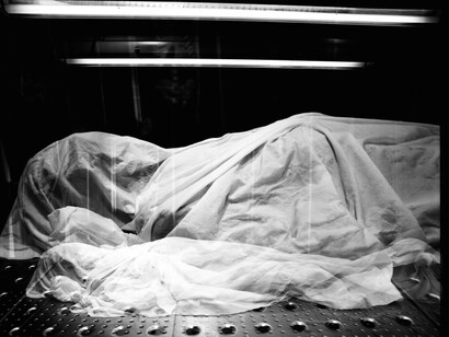Von Hagens by Sanges