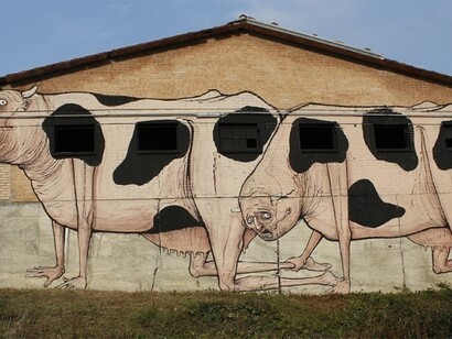 *Men like Cows*, Vedriano, per la Sagra della Street Art, colori acrilici su muro di una fattoria abbandonata