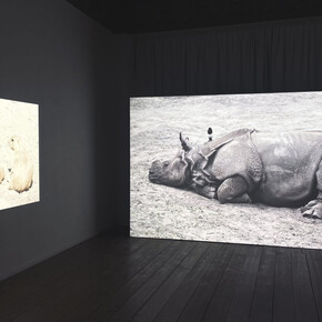 Marjan Laaper, Loss, hope and wonder, exhibition view. Courtesy of NL=US Art