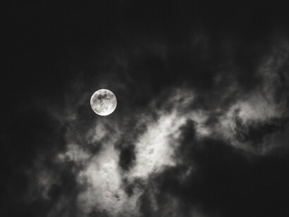 Buscaba incesantemente al espíritu