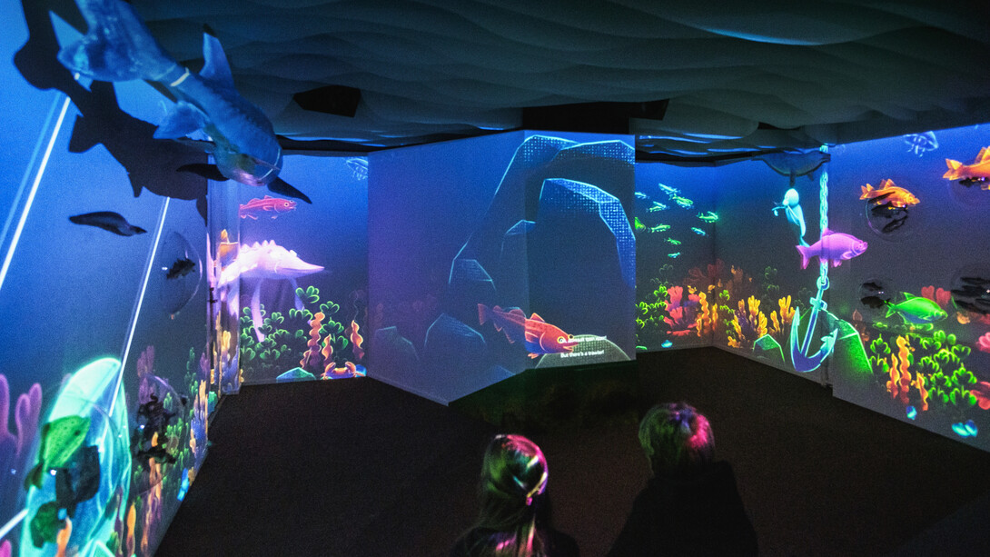 Maria the Sturgeon’s dream, exhibition view. Courtesy of Estonian Natural History Museum