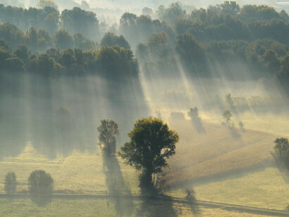 Paesaggio lombardo con nebbia