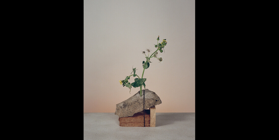 Hardly Together. Courtesy of Fisher Parrish Gallery