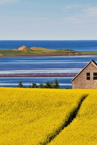 While the TV show was also filmed in Ontario to replicate the 19th-century setting, showing the visual of the Island was the main objective