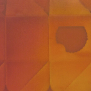 Joanne Ungar. Courteys of 