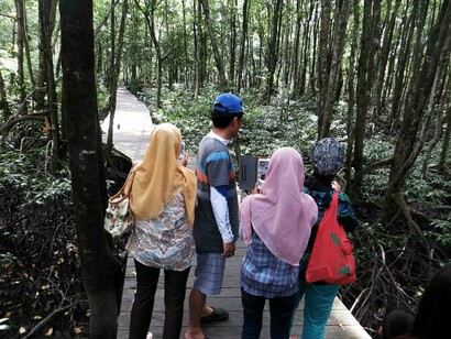 Tarakan area di protenzione per mangrovie e scimmie nasica (kawasan konservasi bakau)