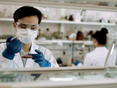 Pesquisadores em laboratório. A pesquisa científica exige uma dedicação intensa e rigorosa. Os pesquisadores, muitas vezes estudantes de pós-graduação ou professores universitários, dedicam horas a fio para desenvolver estudos que visam resolver problemas complexos e criar soluções inovadoras