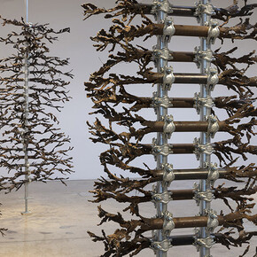 Luciana Lamothe. Courtesy of Steve Turner