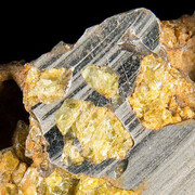 Mineral Hall. Courtesy of Royal Belgian Institute of Natural Sciences