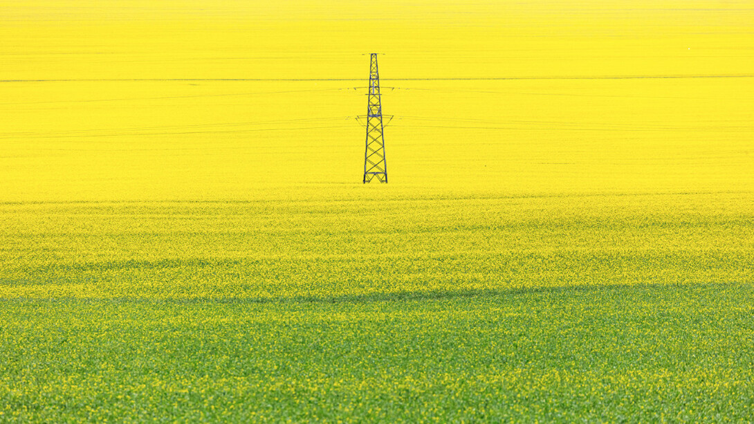 Water & Earth. Courtesy of Blue Lotus Gallery