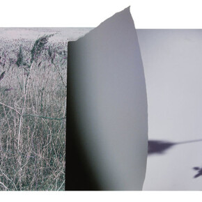 Lineations 2. Courtesy of Yancey Richardson Gallery