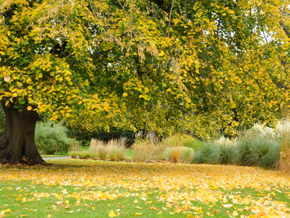 Splendidi dalla primavera all’autunno. Foto di Enzo Valenti
