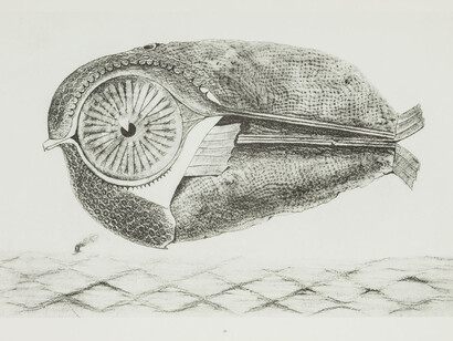 The Alchemy of the Image Max Ernst’s Books. Courtesy of The State Hermitage Museum