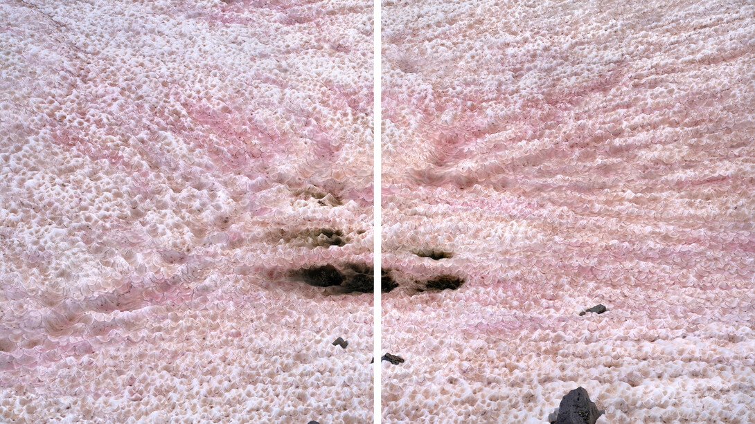 Thomas Wrede, Presena gletscher, blutschnee #1, 2020. Mit freundlicher genehmigung von Bernhard Knaus Fine Art