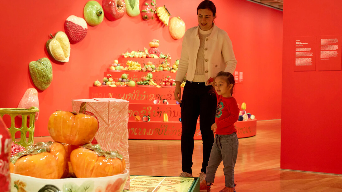 Mechelle Bounpraseuth, ສູ້ສູ້ sou sou, exhibition view. Courtesy of Art Gallery of NSW