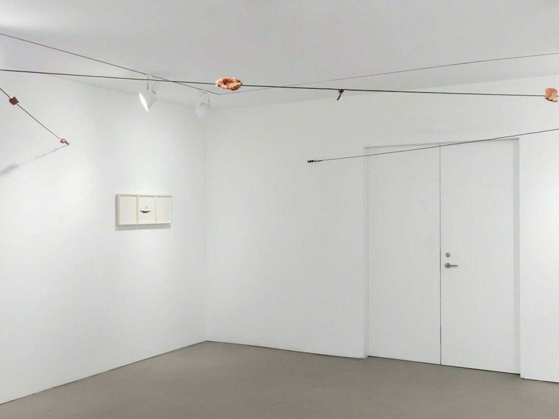 Paul Thek. Eye of the Beholde, Exhibition view.Courtesy of Alexander and Bonin