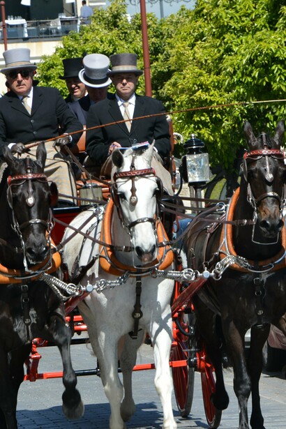 Los caballos son una de las estrellas de la Feria de Abril
