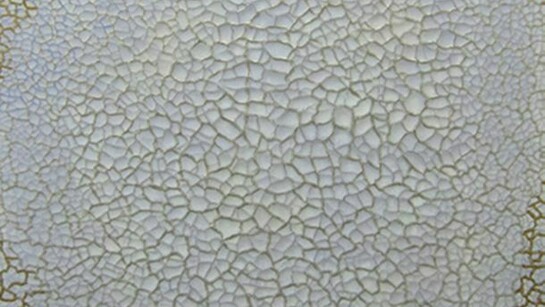 Uisuk Byeon, Detail of Seeing, 48x48 Inch, Acrylic on canvas, 2013