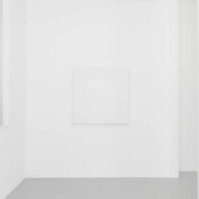 Céleste Boursier- Mougenot, Exhibition view. Courtesy of Galerie Xippas