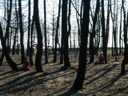 Gli Alberi erano Dei
