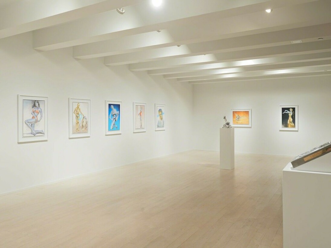 Sorayama, Exhbition view. Courtesy of Jacob Lewis Gallery