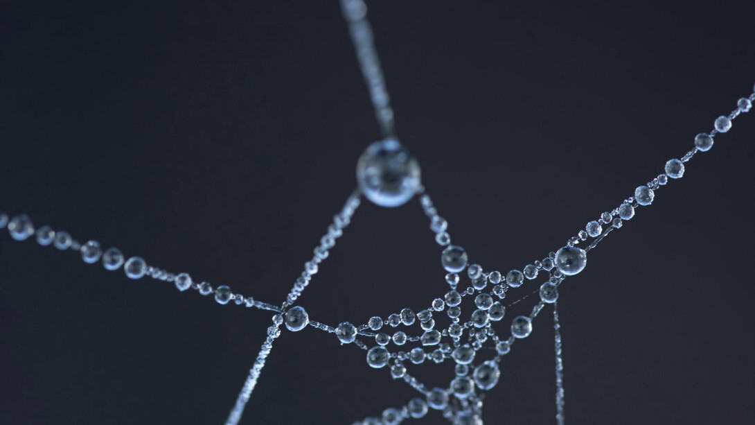 De la complexité des relations dans et en dehors de la sphère familiale