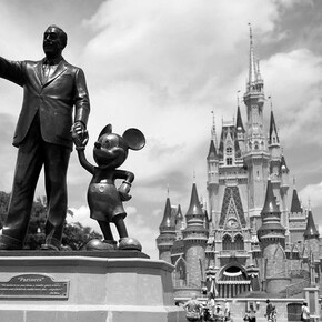 Self-preservation. Courtesy of Primary