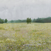 Dace Lielā, After rain, 2024. Courtesy of Daugava Gallery